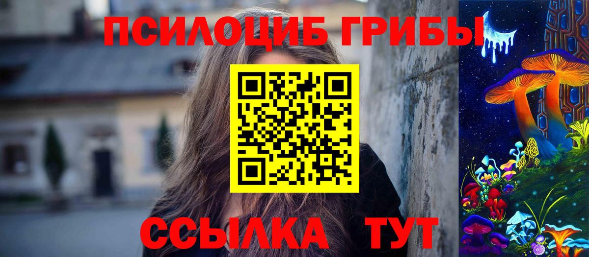 Екатеринбург  Псилоцибиновые грибы мицелий  Вход с VPN 